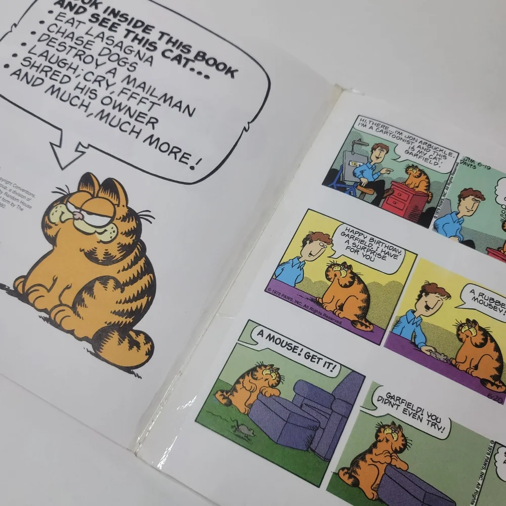 Garfield classics book bundle. Garfield at large and Garfield takes the cake - Picture 4 of 7